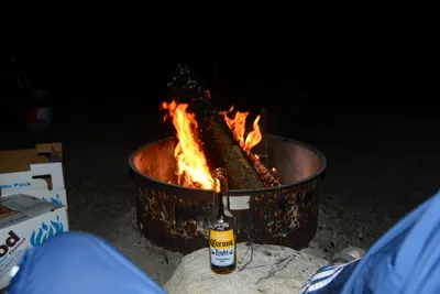 DSC_9882 (Large).JPG